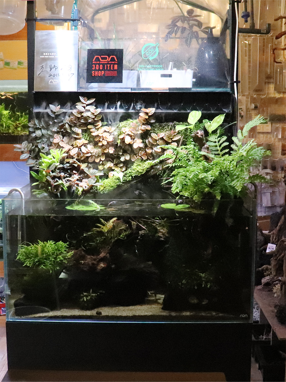 Aquarium Shop Earth 水草水槽 レイアウト水槽 熱帯魚 珍カラ ベタならアースへ